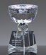 Picture of Triumph Cup Crystal