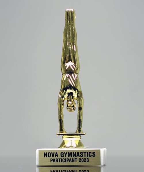 Picture of Gymnast Male Trophy