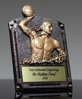 Picture of Legend Of Fame Water Polo