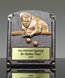 Picture of Legend of Fame Pool Trophy