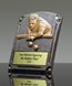 Picture of Legend of Fame Pool Trophy