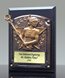 Picture of Greystone Lacrosse Female Plaque
