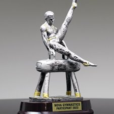 Picture for category Gymnastics Trophies
