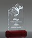 Picture of Billiards Pop-In Acrylic Award