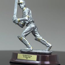 Picture for category Cricket Awards