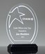 Picture of Acrylic Contour-Star Oval Award