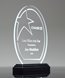 Picture of Acrylic Contour-Star Oval Award