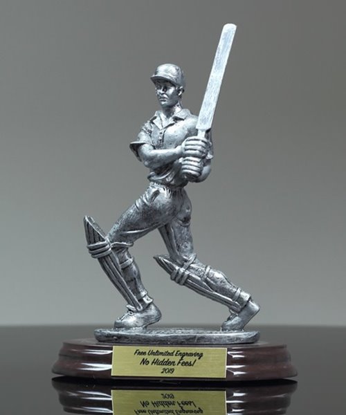 Picture of Cricket Batsman Award