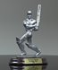 Picture of Cricket Batsman Award