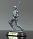 Picture of Cricket Batsman Award