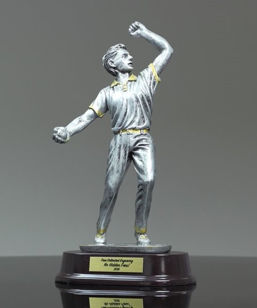 Picture of Cricket Bowler Award