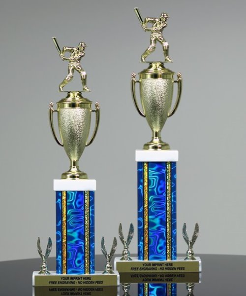 Victory Cup Cricket Trophy