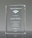 Picture of Crystal Merit Award