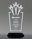 Picture of Team Achievement Acrylic Award