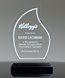 Picture of Contour Flame Acrylic Award