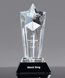 Picture of Acclaim Star Crystal Award