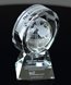 Picture of Crystal In-Motion Global Ring Award