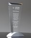 Picture of Crystal Vision Award