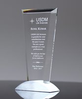 Picture of Crystal Vision Award