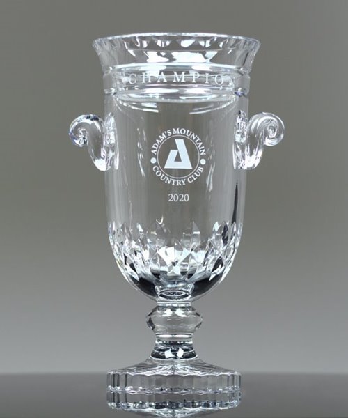 Picture of Curator Cup