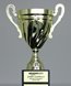 Picture of Forerunner Trophy Cup