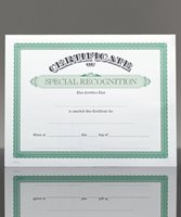 Picture of Certificate of Special Recognition
