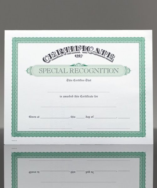 Picture of Certificate of Special Recognition