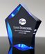 Picture of Luminary Blue Sable Star Award