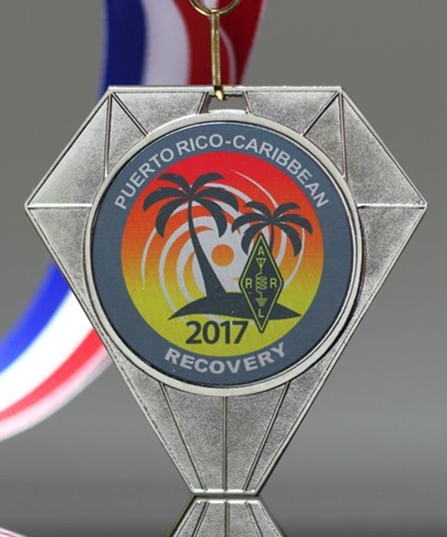 Picture of Platinum Diamond Award Medal