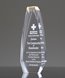 Picture of Gold Distinction Obelisk Award