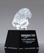 Picture of Crystal Eagle Bust Award