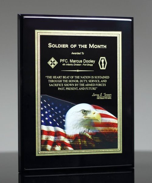 Picture of American Eagle Award Plaque