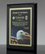 Picture of American Eagle Award Plaque