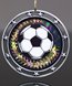 Picture of Soccer Star Medal