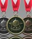 Picture of Social Studies Medal