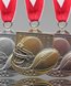 Picture of Football Star Award Medals