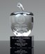 Picture of Crystal Apple Trophy