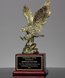 Picture of Achievement Eagle Award