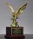 Picture of Achievement Eagle Award