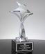 Picture of Achievement Platinum Star Awards