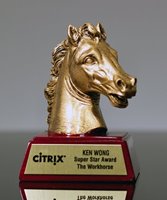 Picture of Workhorse Award