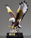 Picture of American Eagle Award