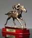 Picture of Horse Racing Trophy