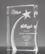 Picture of Achievement Star Award