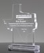 Picture of Custom State Texas Shape Award