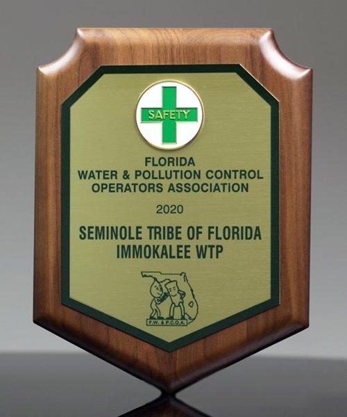 Picture of Safety Award Shield Plaque