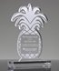 Picture of Acrylic Pineapple Award