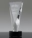 Picture of Crystal Triumph Award