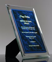 Picture of Synthesis Award Plaque - Blue Marble