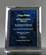 Picture of Synthesis Award Plaque - Blue Marble